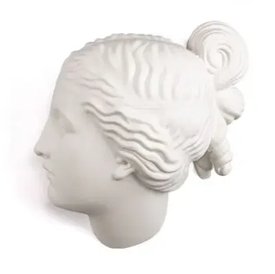 Hit sprzedaży Dekoracja Memorabilia Mvsevm Nymph Head Seletti