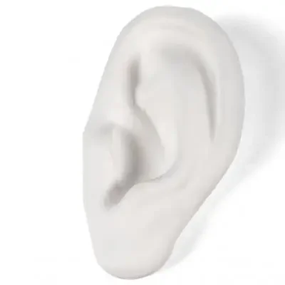 Taniej Dekoracja Memorabilia Mvsevm Ear Seletti