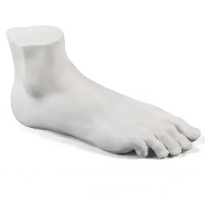Rabat Dekoracja Memorabilia Mvsevm Male Foot Seletti