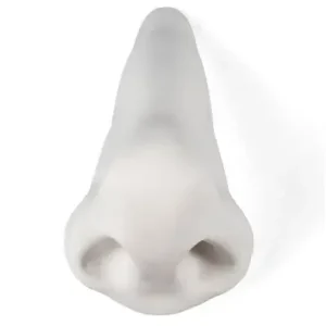 Dekoracja Memorabilia Mvsevm Nose Seletti Okazja
