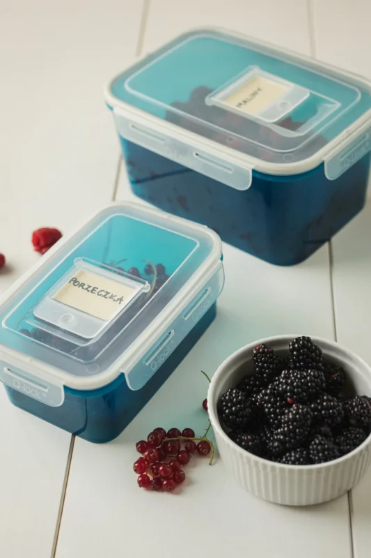 Obniżka ceny BRANQ Quattro Q-lock 1 l niebieski - pojemnik na żywność plastikowy