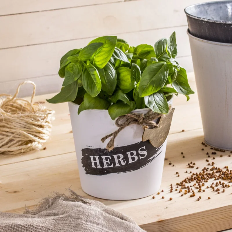 Tylko dziś Doniczka / Osłonka na kwiaty plastikowa HERBS JARDIN BIAŁA 14 cm